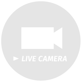 LIVE CAMERA